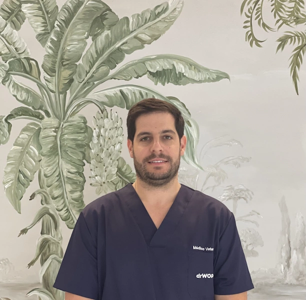 Dr. Bruno Guilherme Alberto